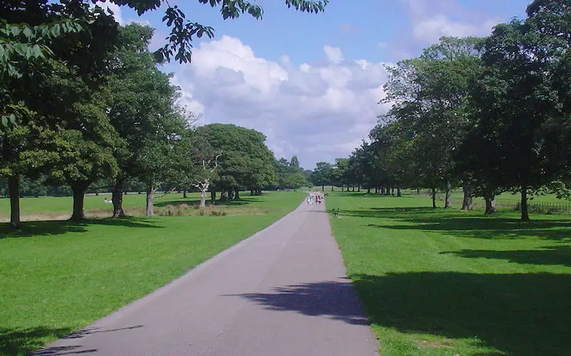 Dog walks in Liverpool - Croxteth country park