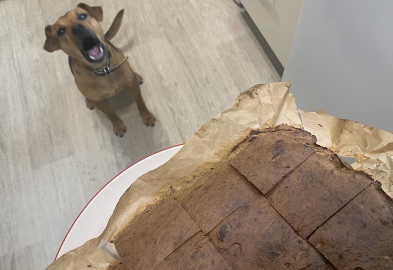liver cake recipe for dogs