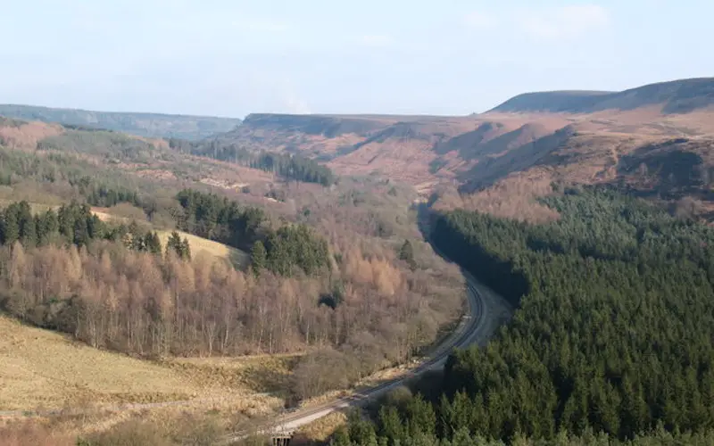 Newtondale