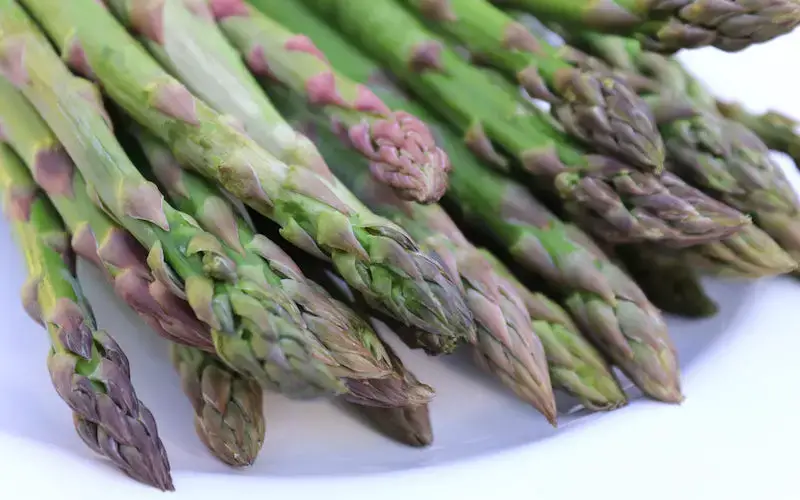 Can Dogs Eat Asparagus Can They Eat It Raw Or Cooked