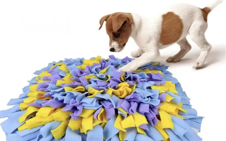 snuffle-mat-for-dogs-which-is-the-best-snuffle-mat