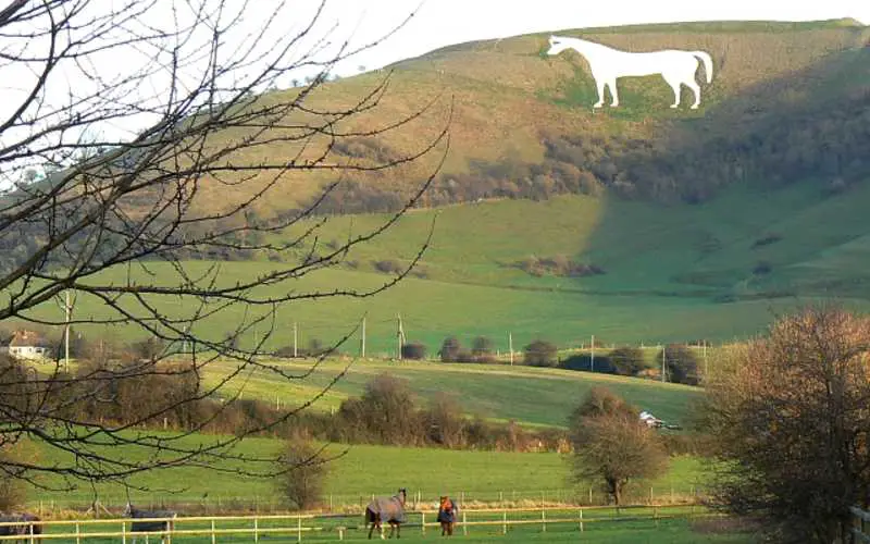 Dog Walks in Wiltshire