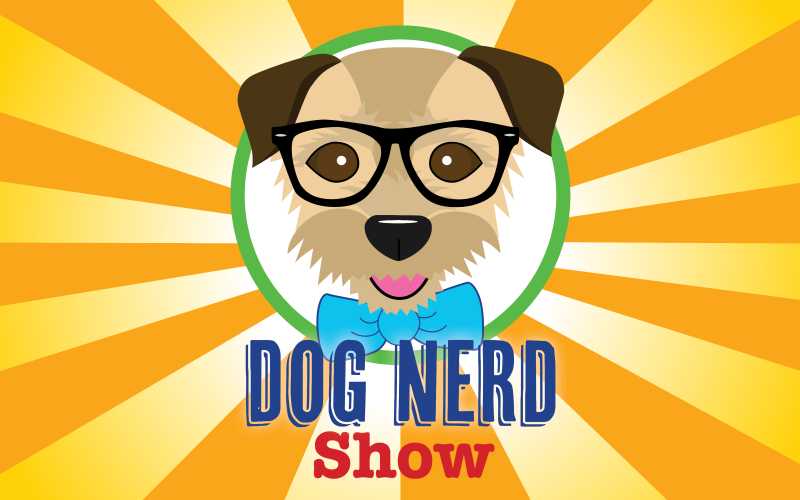 Dog Nerd Show – Patterdale Terrier Episode