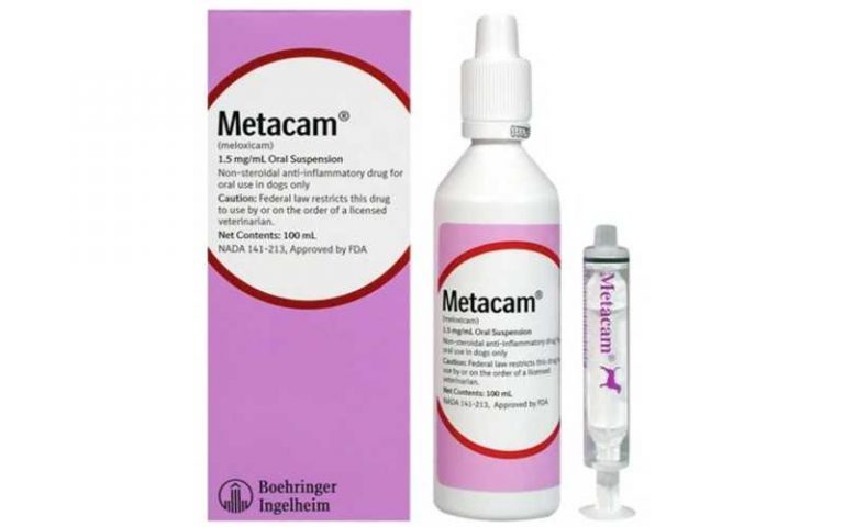 metacam-for-dogs-what-is-metacam-and-what-is-it-used-for