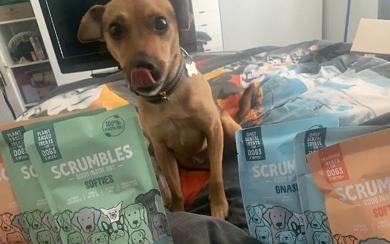 Scrumbles Dog treats review